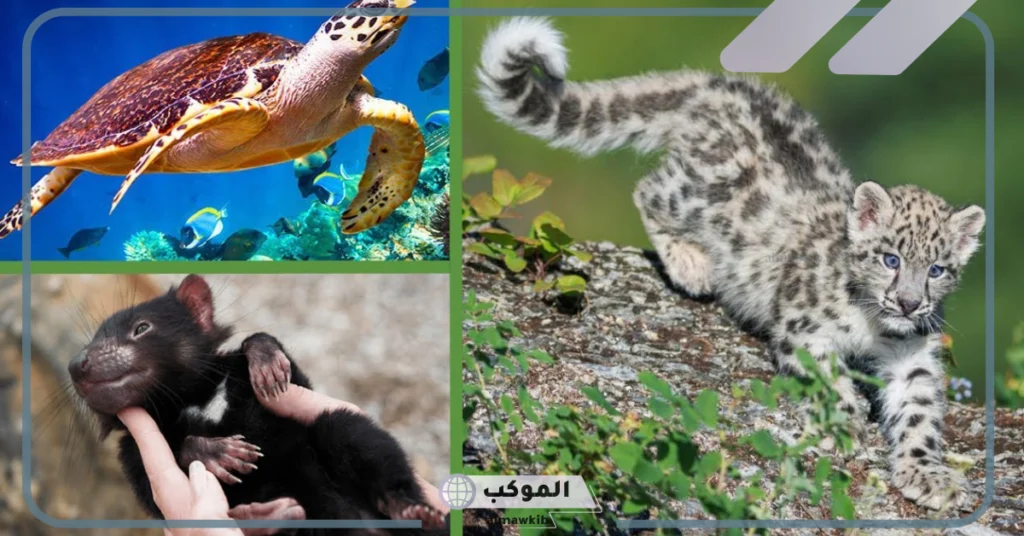 عواقب انقراض الحيوانات