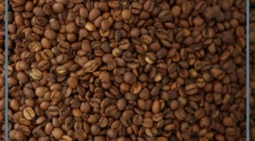 خلطة قشر القهوة والشمر واليانسون