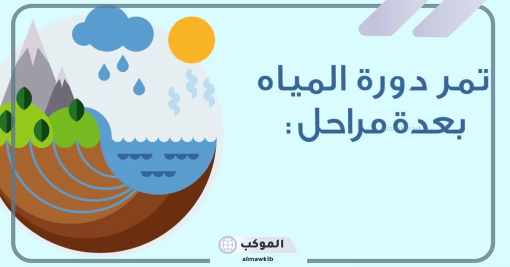 مراحل دورة الماء كاملة.. أشكال تواجد المياه على سطح الأرض 5 أهمية دورة الماء في الطبيعة
