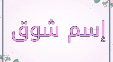 صفات اسم شوق