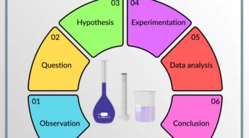 طرق علمية خطوات