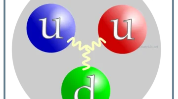 عدد البروتونات