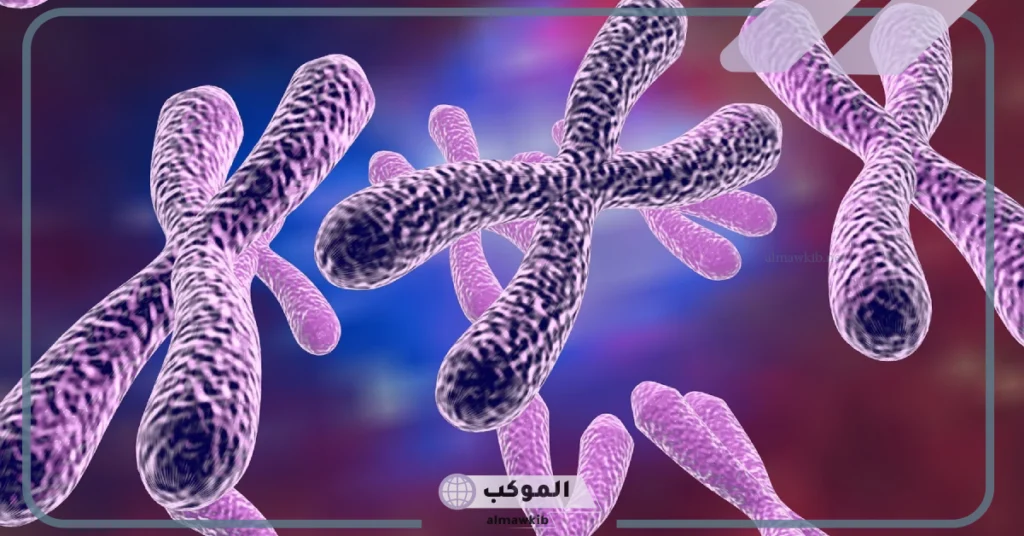 تنفصل الكروموسومات خلال الانقسام المتساوي في الطور 5 مراحل الانقسام المتساوي