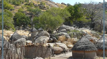 كم عدد قبائل جبال النوبة