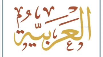 ما أسلوب لغوي