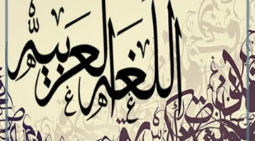 ما معنى الدور