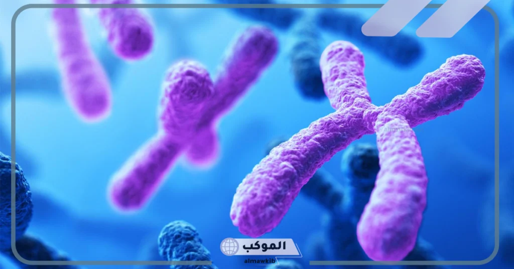 تنفصل الكروموسومات خلال الانقسام المتساوي في الطور 6 عدد الكروموسومات في الانقسام المتساوي