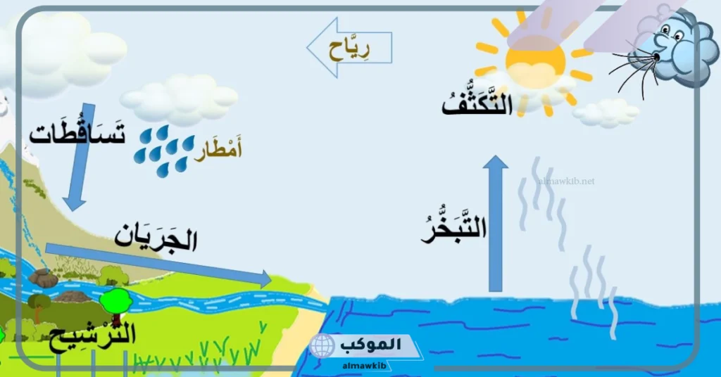 مراحل دورة الماء كاملة.. أشكال تواجد المياه على سطح الأرض 6 أشكال تواجد المياه على سطح الأرض