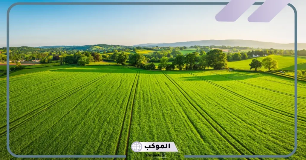 تفسير حلم المزرعة في المنام خضراء ودخولها للمتزوجة لابن سيرين 5 رؤية المزرعة في المنام للعزباء