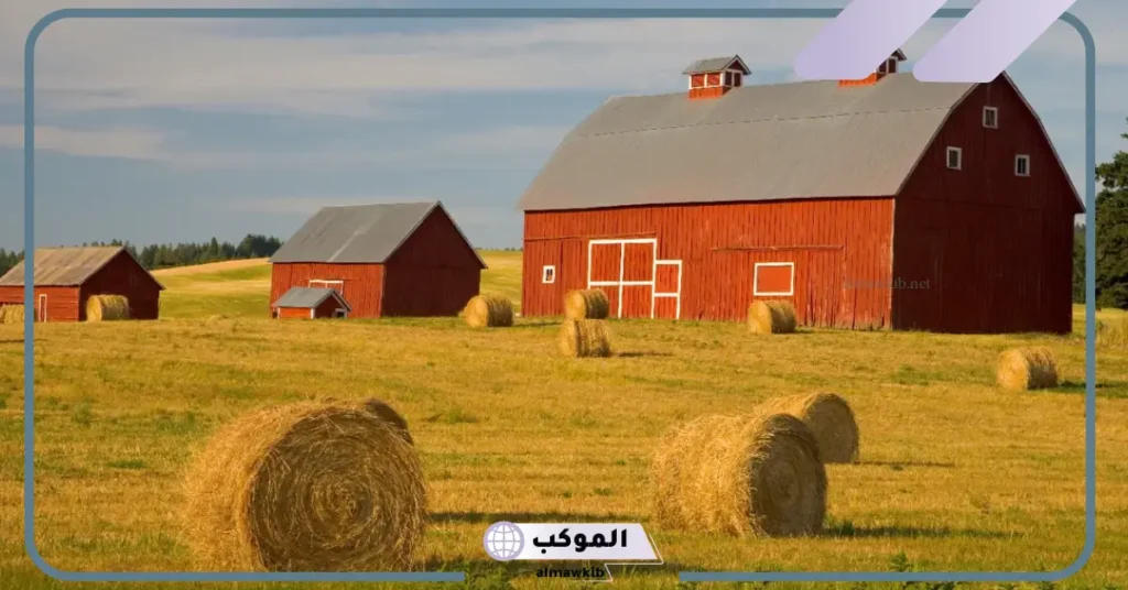 تفسير حلم المزرعة في المنام خضراء ودخولها للمتزوجة لابن سيرين 6 المزرعة في المنام للحامل