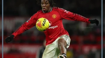 وولفر اليوم