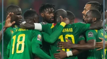 جنوب افريقيا وكاميرون