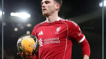 نيوكاسل والليفر