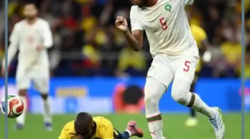 بارغواي غدا