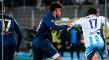 حرس الحدود والاهرام