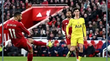 غلطة سراي والليفر