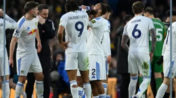 نيوكاسل ومان سيتي اليوم