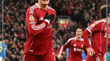 ايفرتون والليفر