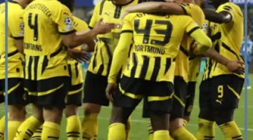 هوفنهايم اليوم